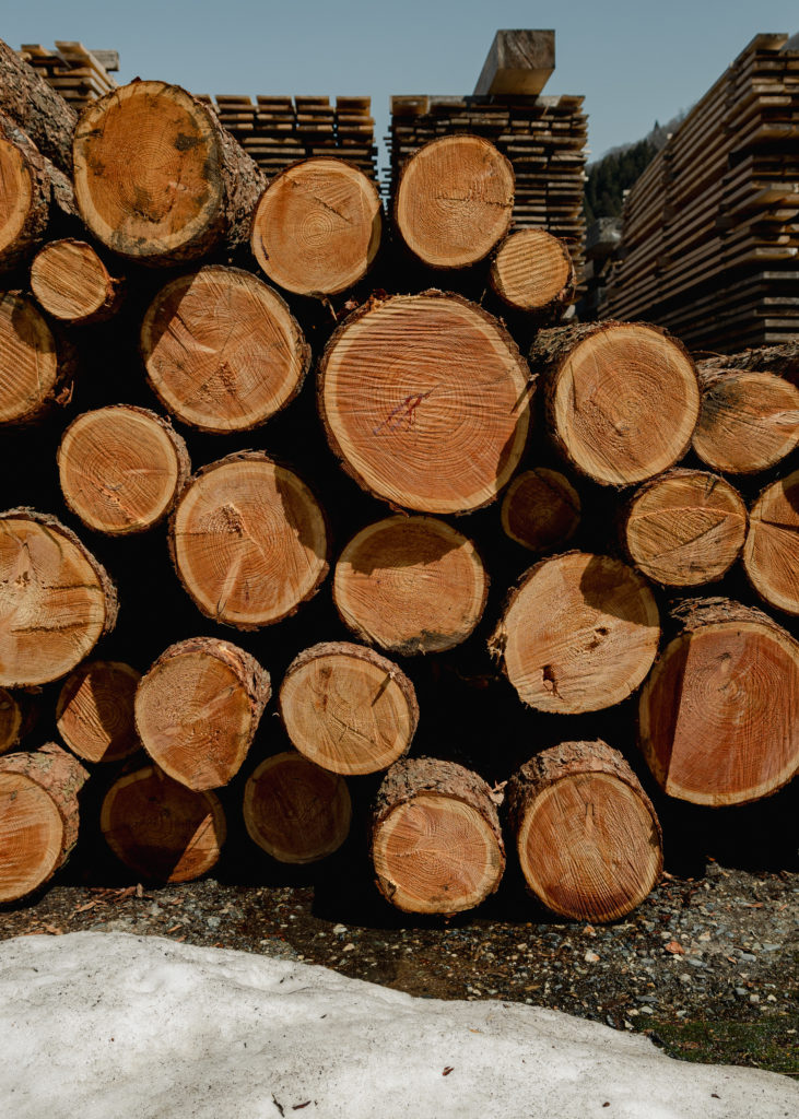 Local tress in Hakuba Valley sawmill as we hunt for sustainable snowboard core materials