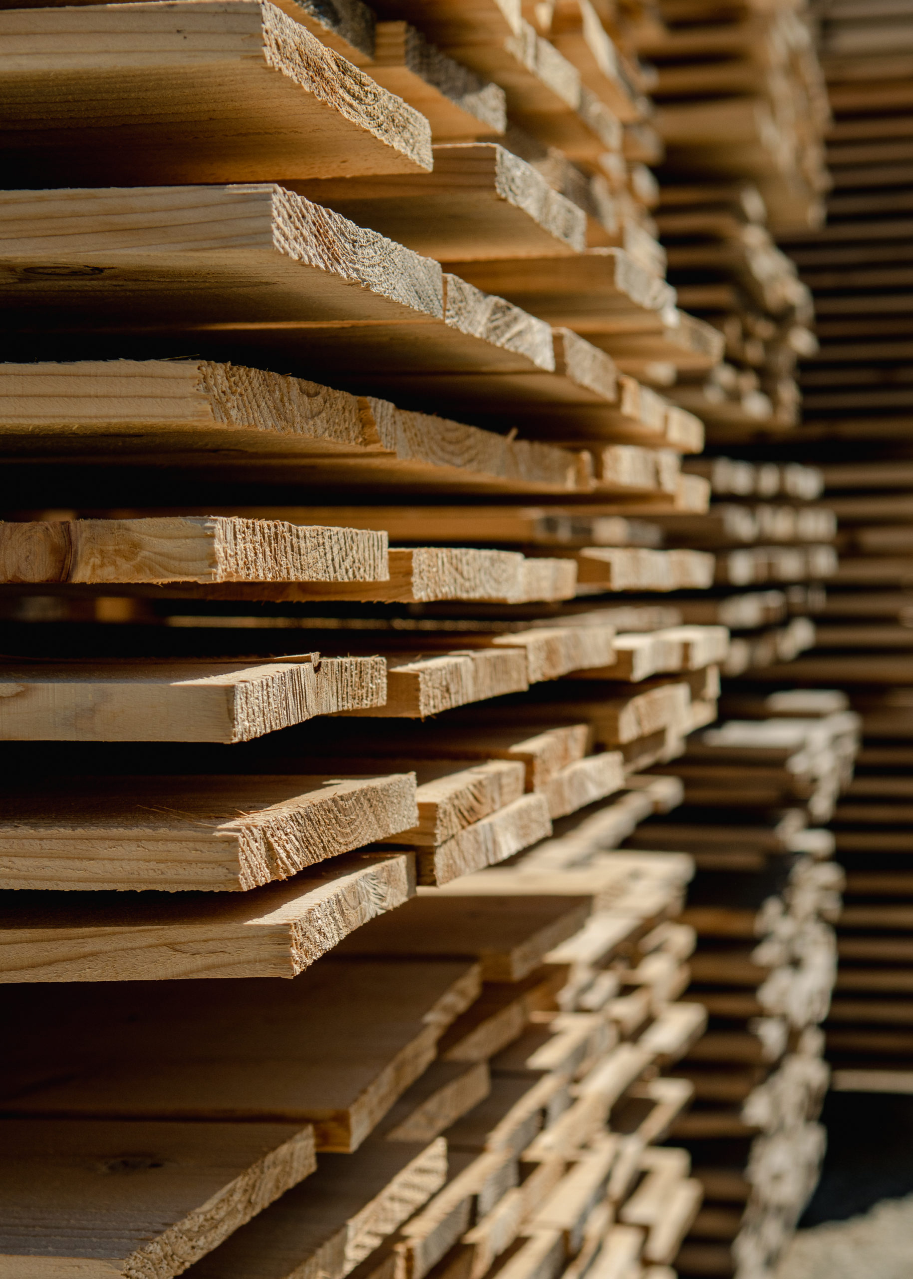 Stacks of local Hakuba wood, sourcing handmade snowboard core wood for Koya Snowcraft